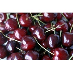 Trái Cherry tươi  | Thực phẩm chức năng