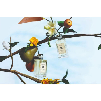 Jo Malone English Pear & Freesia 100ml | Nước hoa nữ giới