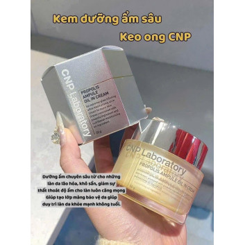 Kem dưỡng CNP Propolis Ampule Oil In Cream 50g | Da mặt