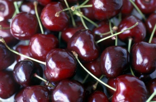 Trái Cherry tươi  — ảnh chính