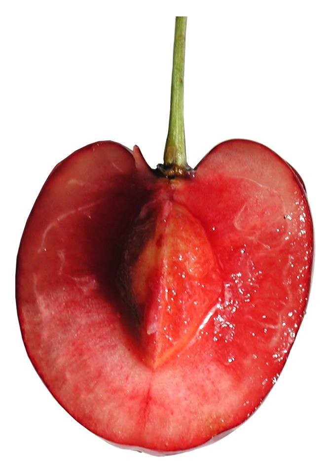 Trái Cherry tươi  — ảnh 3