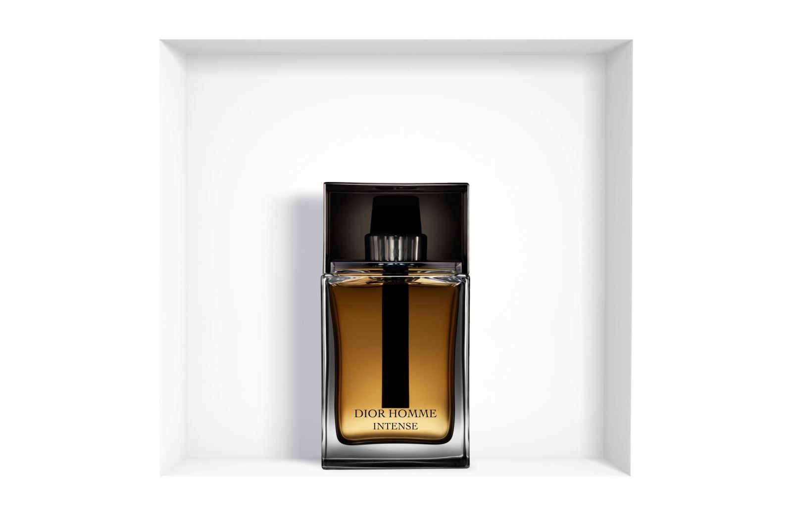 Nước hoa nam Dior homme intense 100ml — ảnh chính