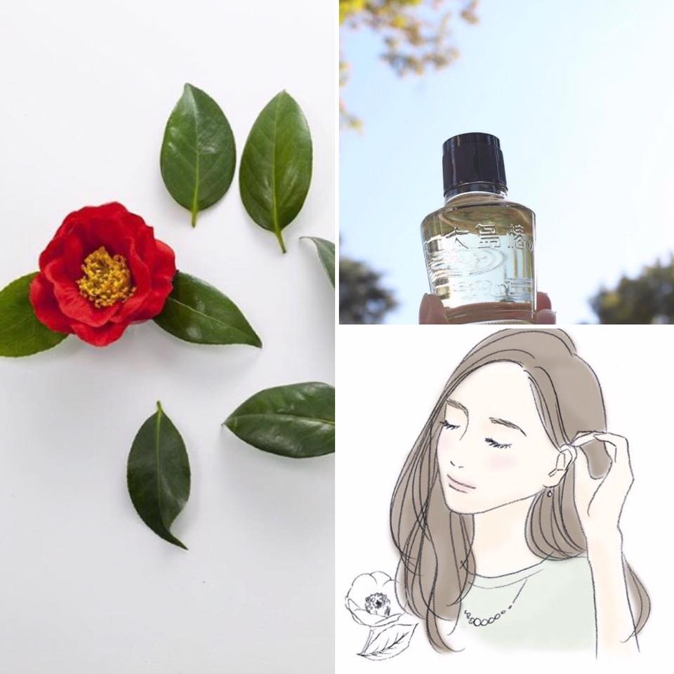 Dầu hoa trà đỏ Nhật Bản 40ml — ảnh chính