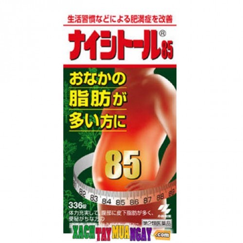 Naishitoru 85 Kobayashi — ảnh chính