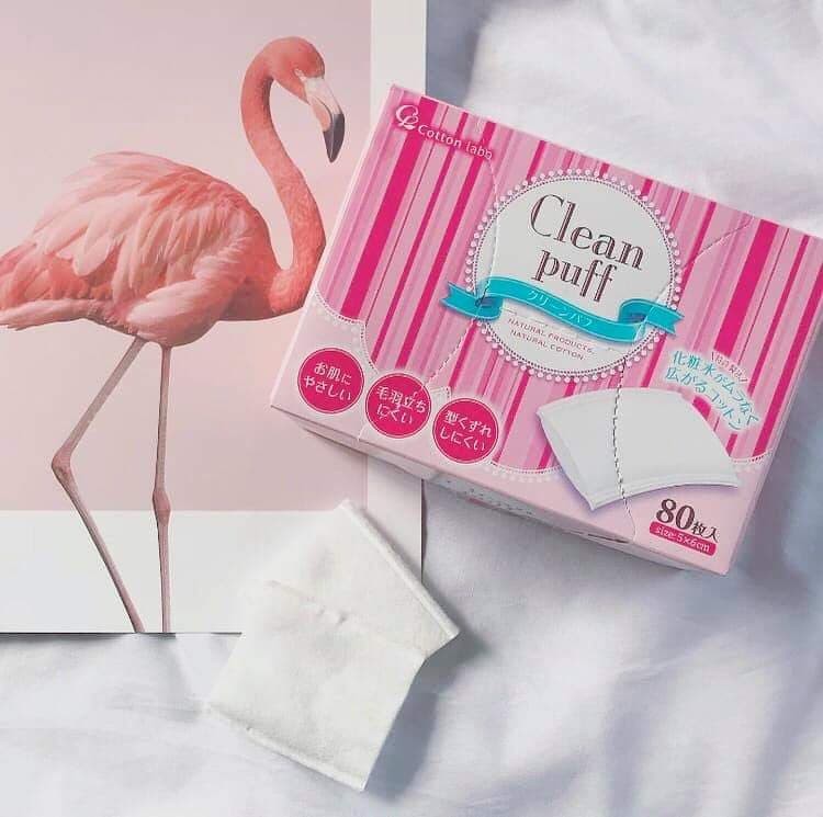 Bông cotton Nhật bản — ảnh chính