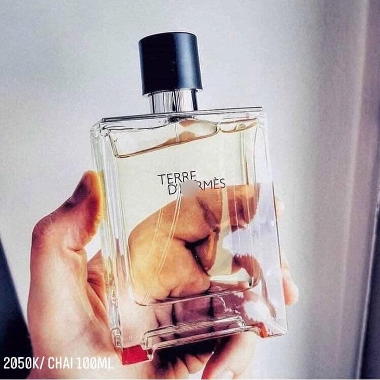 Terre d’Her m.e.s edt 100ml — ảnh chính