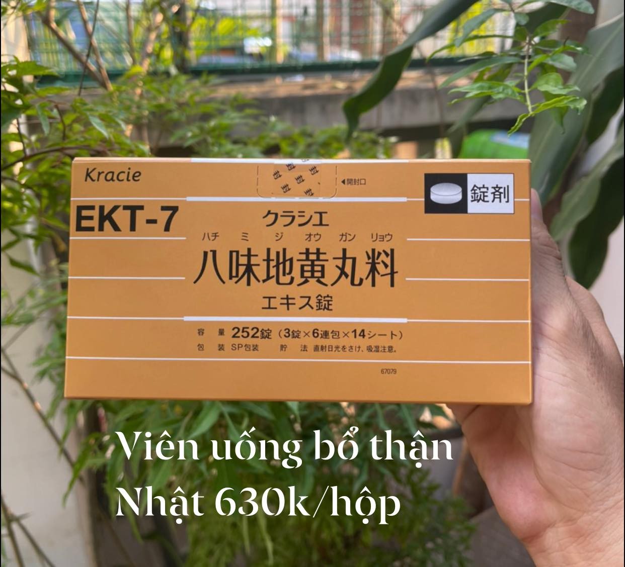Viên uống bổ thận EKT-7 Kracie Hachimi 252 viên Nhật Bản — ảnh chính
