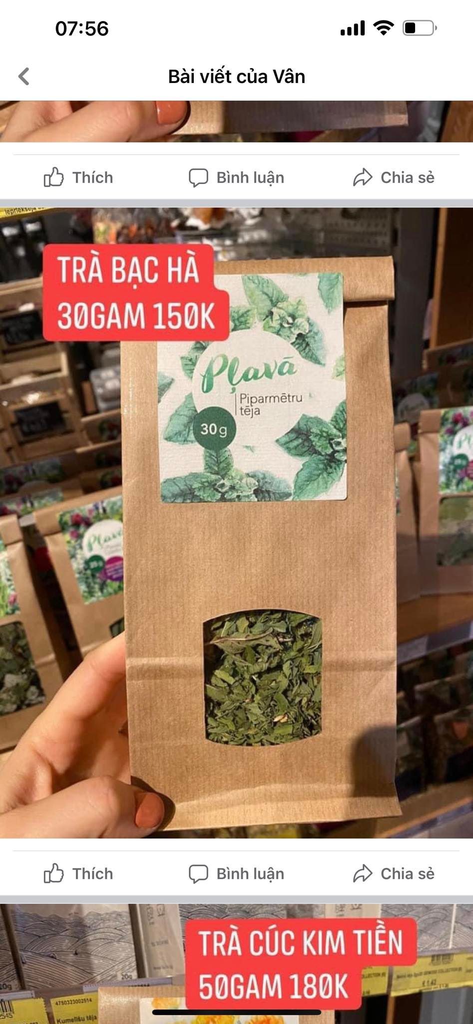Trà bạc hà — ảnh chính
