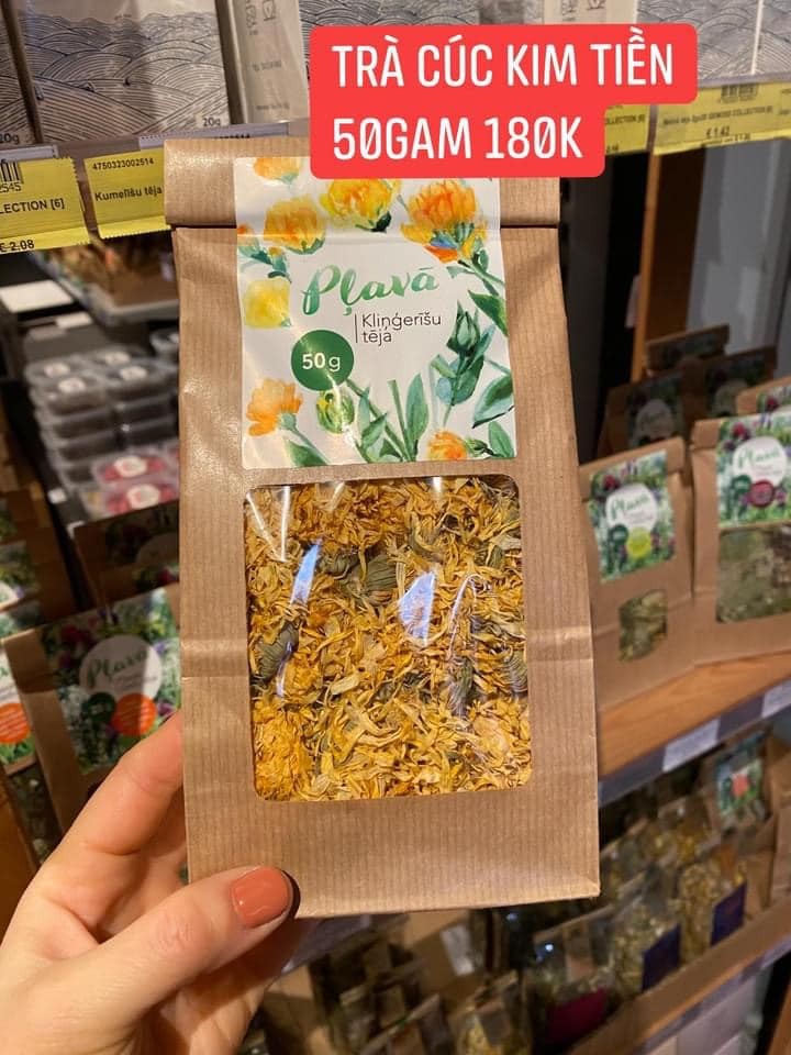 Trà cúc kim tiền — ảnh chính