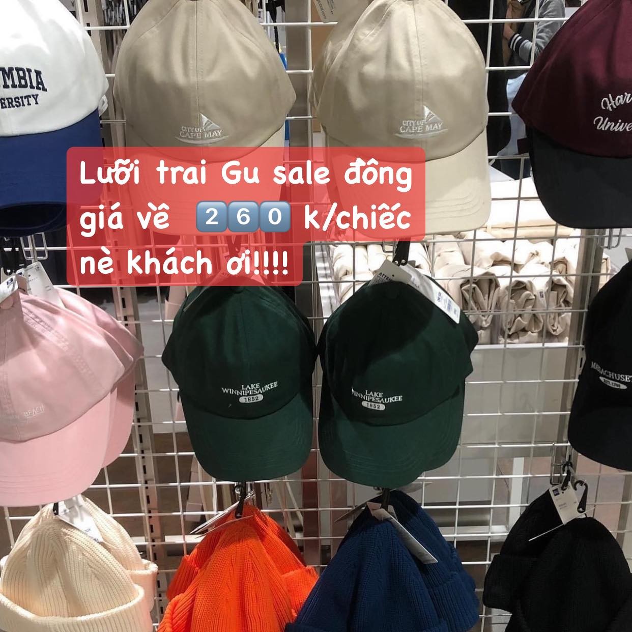 Hàng order-Nón Gu — ảnh chính