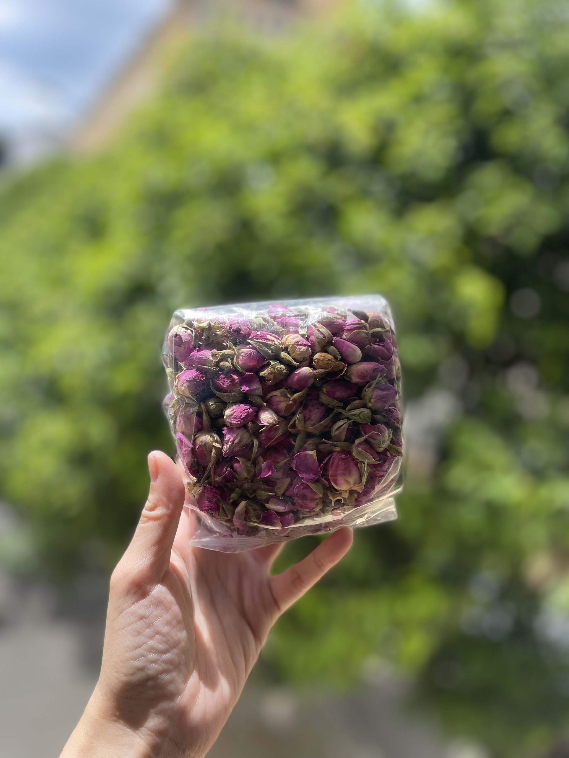 Hoa hồng khô — ảnh chính