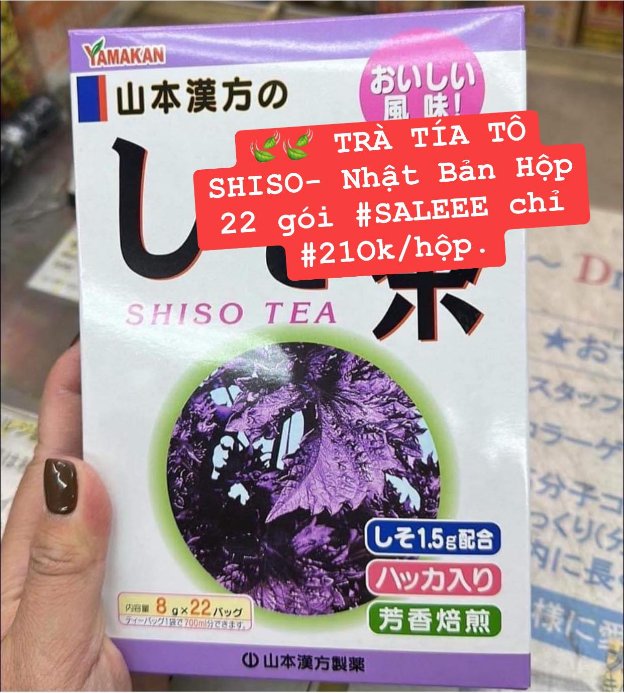 Trà tía tô Shiso Nhật Bản hộp 22 gói — ảnh chính