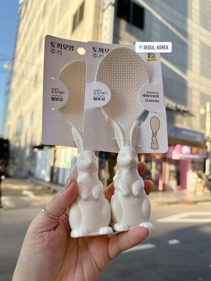 Vá múc cơm hình thỏ — ảnh chính