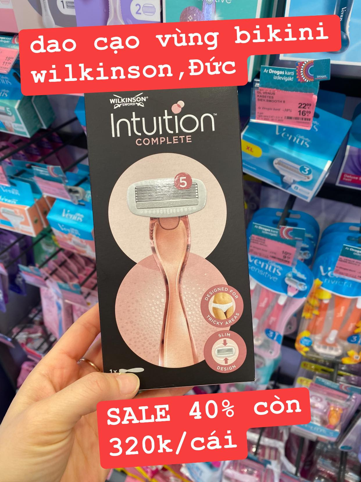 LAT-Dao intuition WILKINSON — ảnh chính