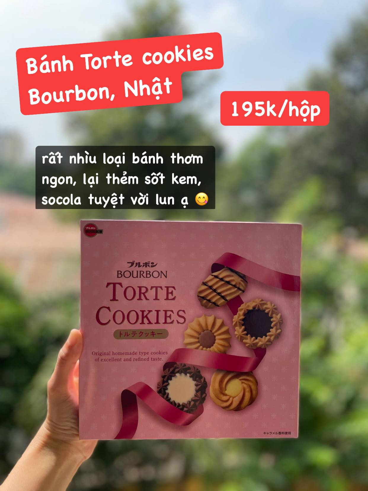 Bánh cookies Torte Bourbon Nhật Bản — ảnh chính