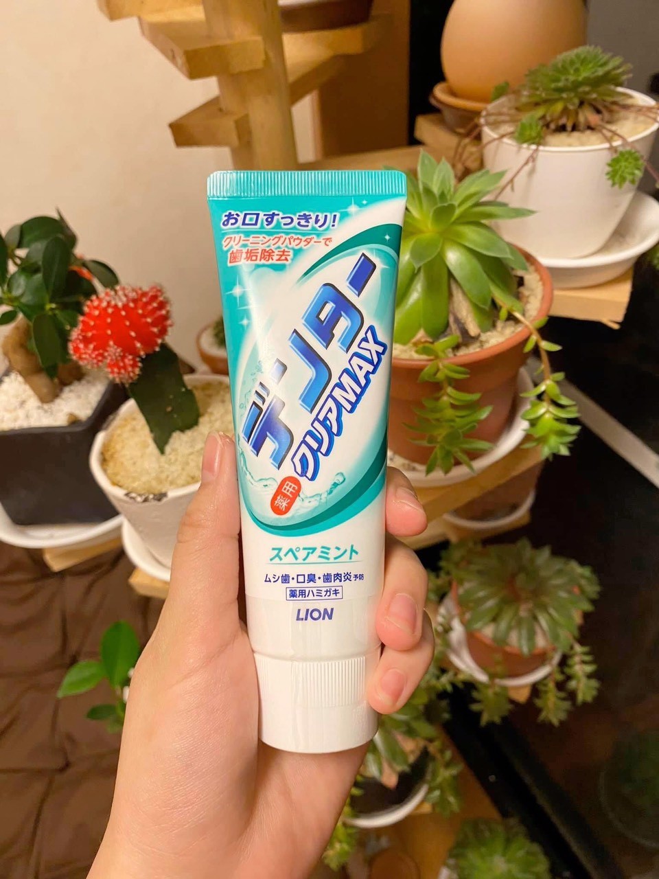 Kem đáng răng Lion Cool Max — ảnh chính