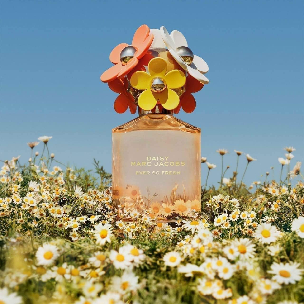 Nước hoa Marc Jacobs Daisy Ever So Fresh  — ảnh chính