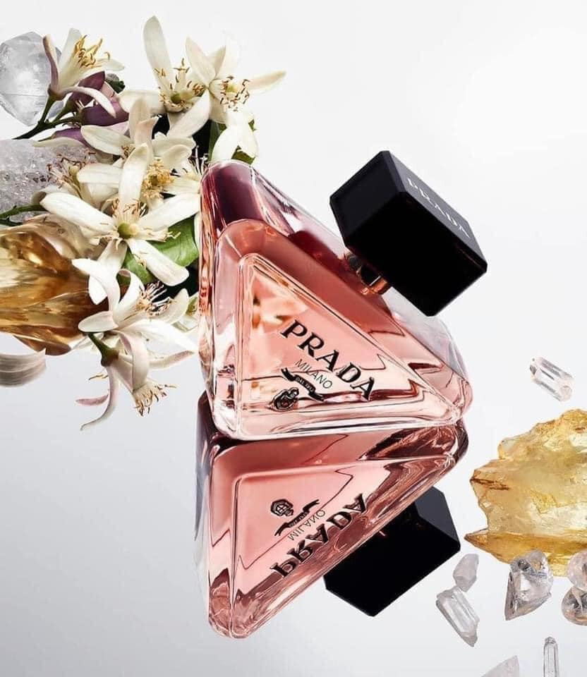 Prada Milano Paradoxe — ảnh chính