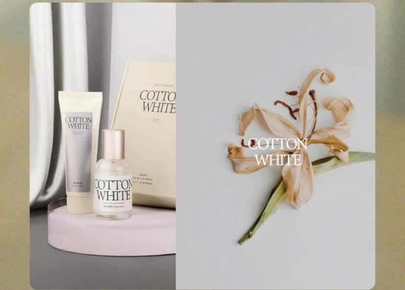 Giftset nước hoa + kem dưỡng tay Daily Comma(Woody Garden,Tender Paris,Cotton White) — ảnh 2