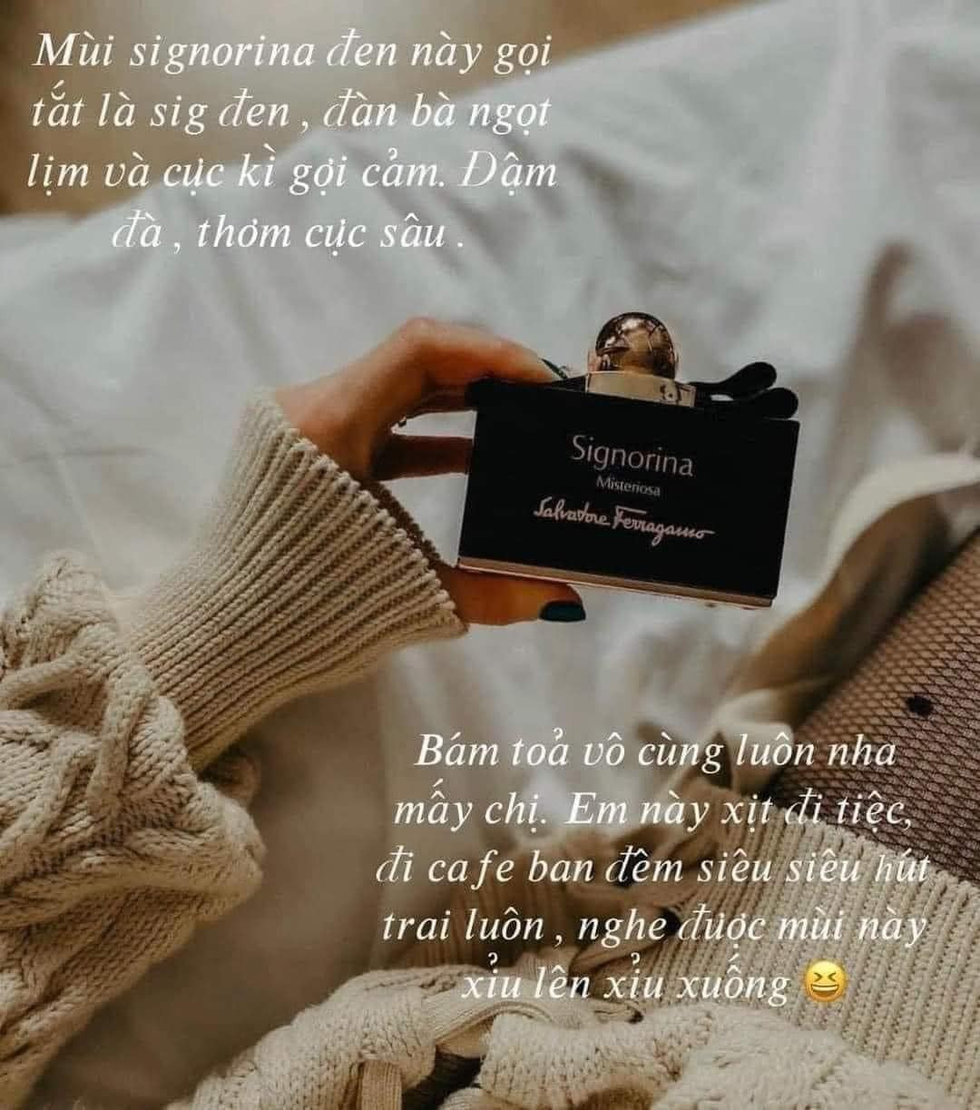 Signorina Misteriosa — ảnh chính