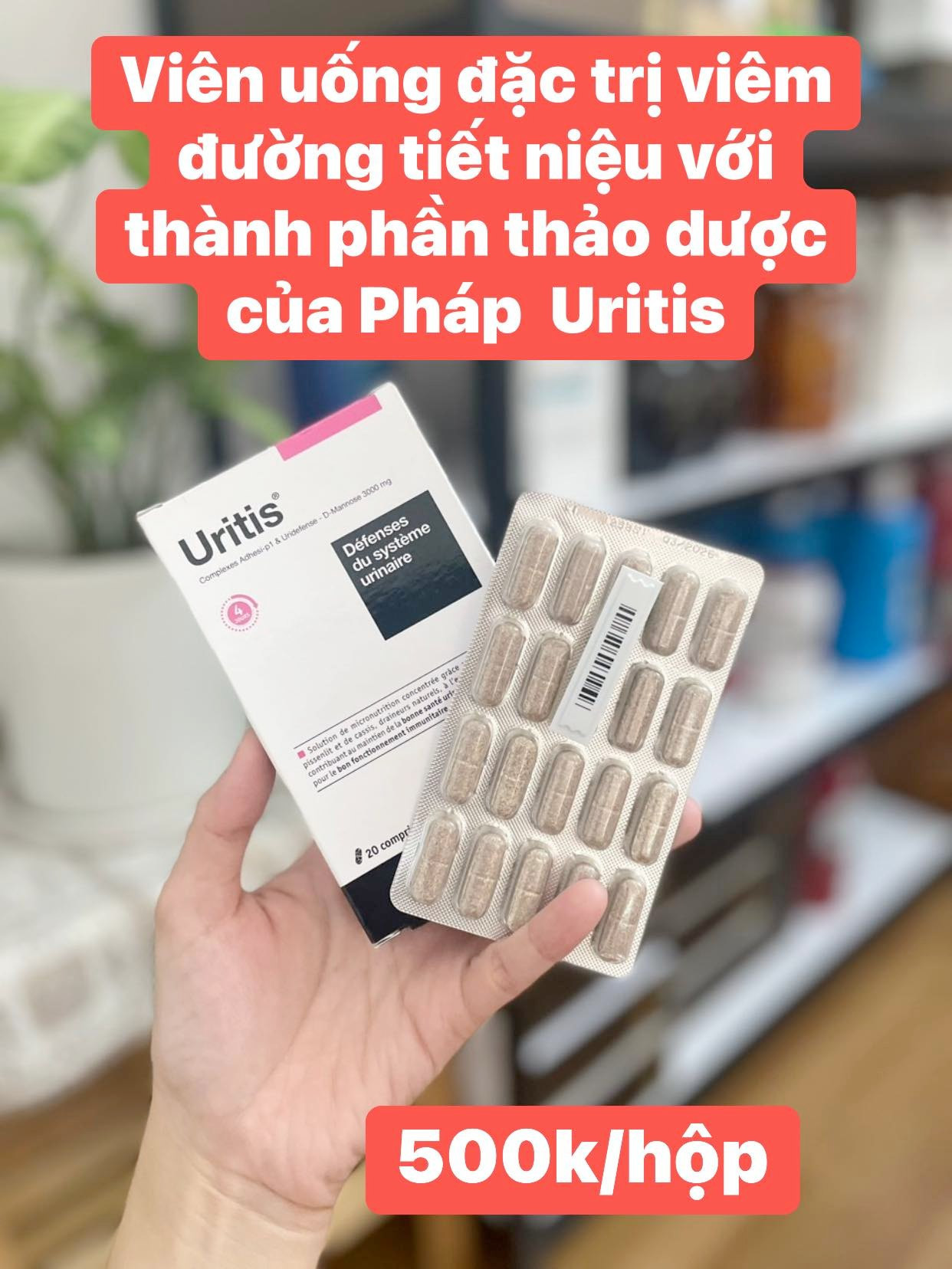 Viên uống thảo dược Pháp đặc trị viêm đường tiết niệu Uritis
