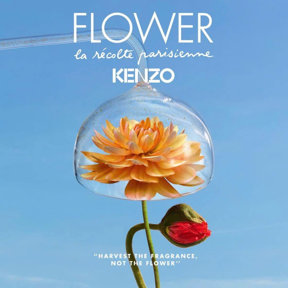 Kenzo flower by Kenzo La Recolte Parisienne tester 75ml — ảnh chính