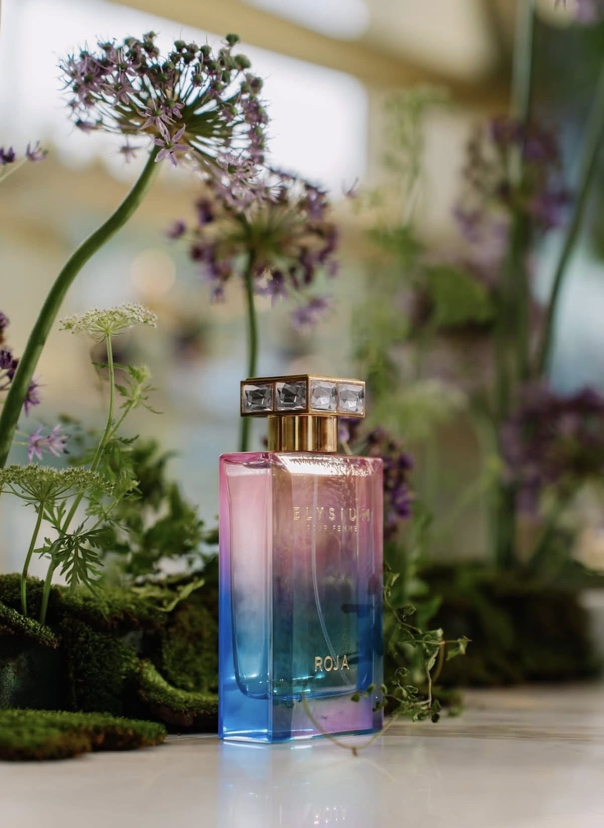 Roja Elysium pour femme 75ml — ảnh chính