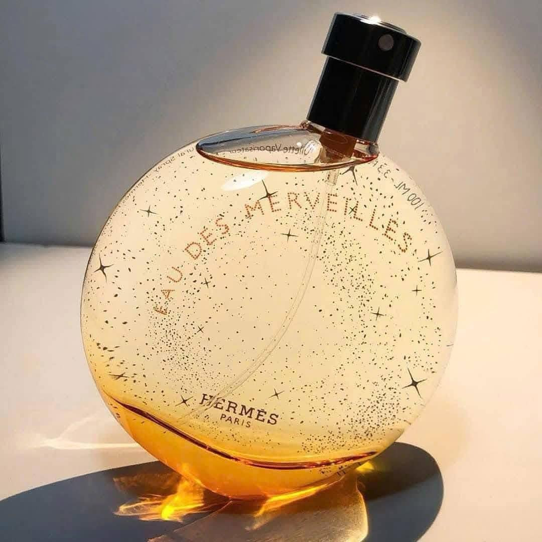 Hermès Eau des Merveilles 100ml — ảnh chính