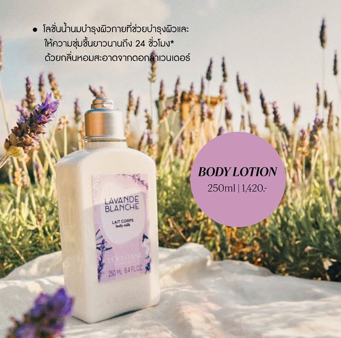 Sữa Dưỡng Thể Hoa Oải Hương Tuyết Loccitane White Lavender Body milk 250ml — ảnh chính