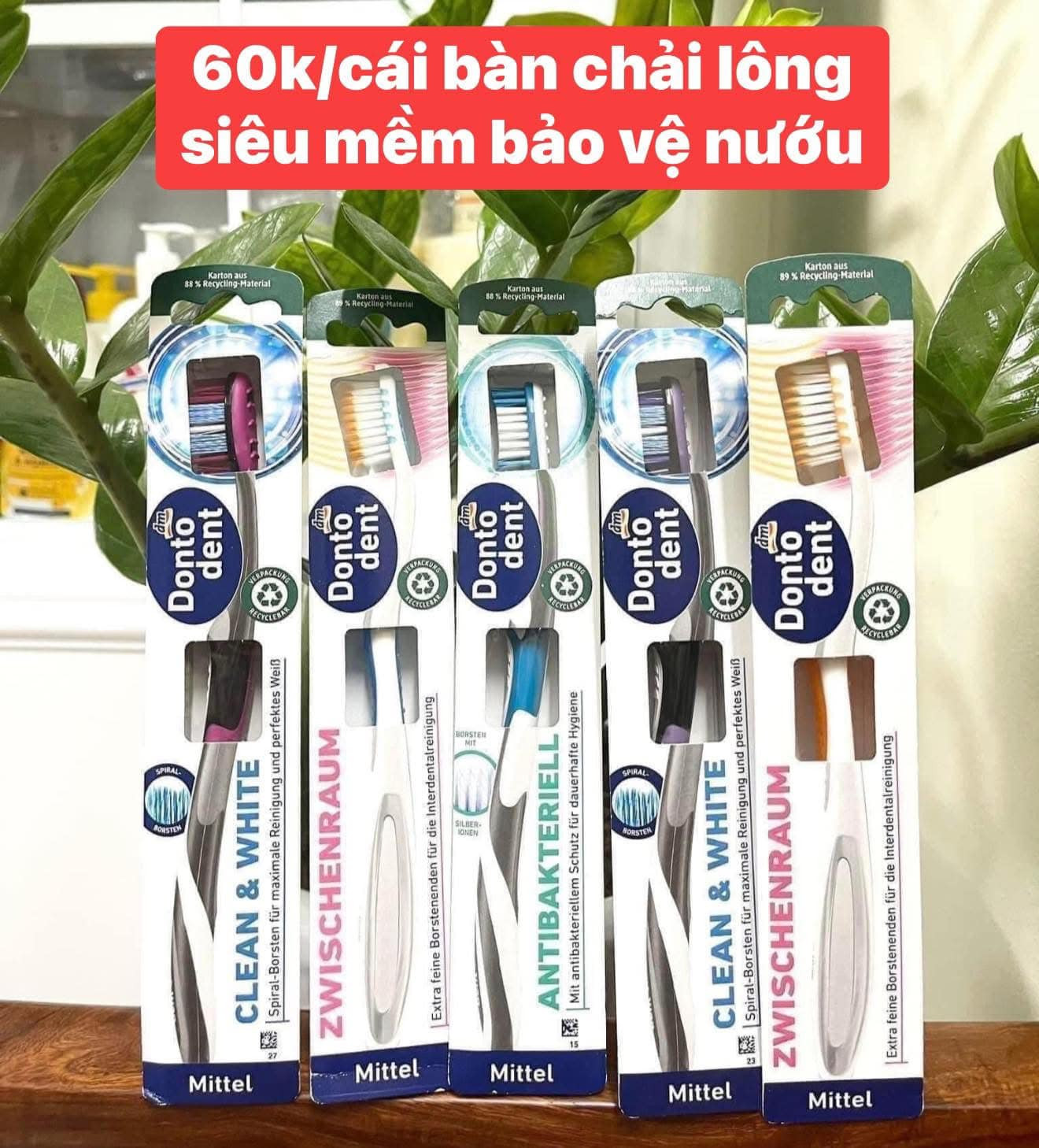 Bàn chải đánh răng Dontodent