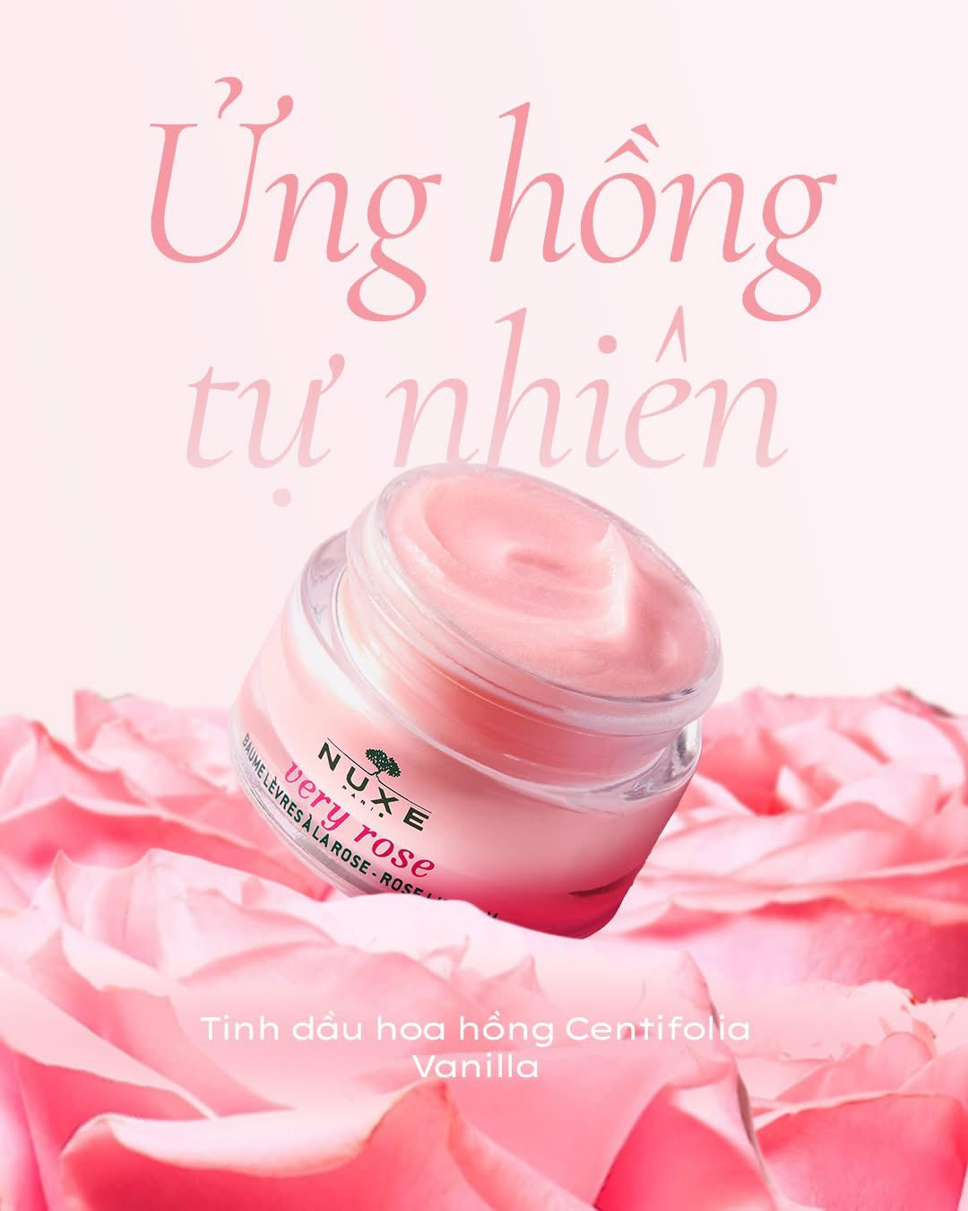 Sáp dưỡng Nuxe Very Rose Lip Balm 15g — ảnh chính
