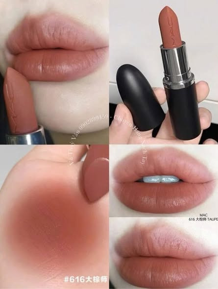 Macximal 616 Taupe — ảnh chính