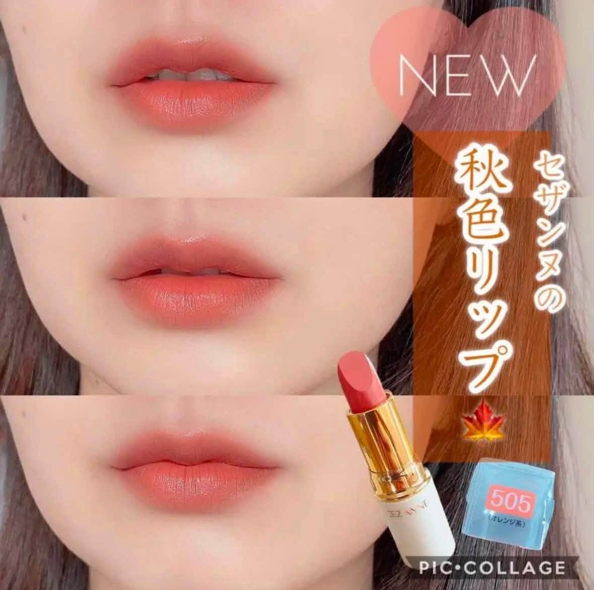 Son Cezanne Lasting Lip Color N màu 505